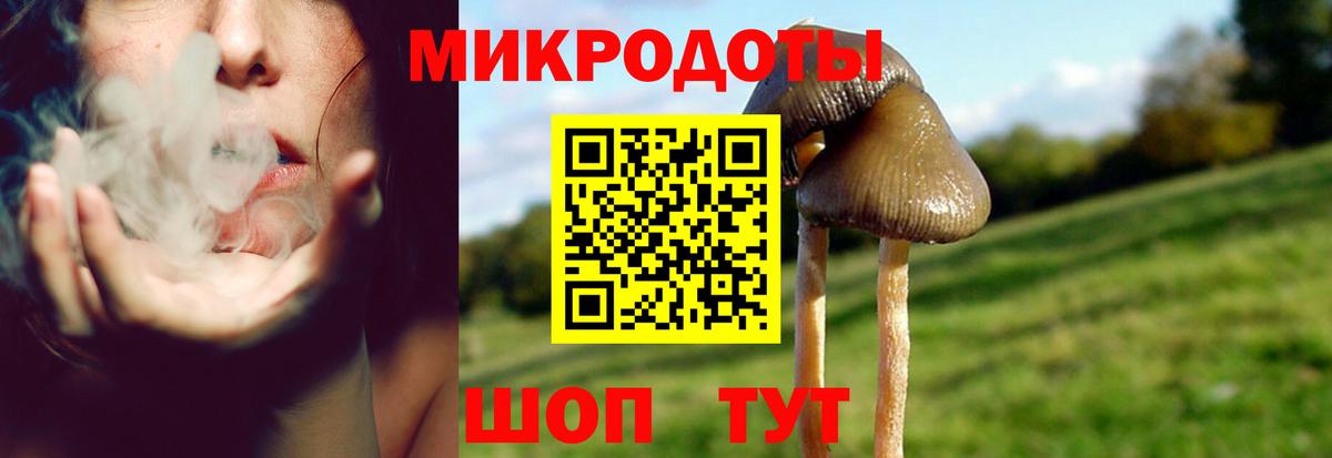 Феодосия  Псилоцибиновые грибы MAGIC MUSHROOMS  Галлюциногенные грибы мицелий  Вход с VPN 